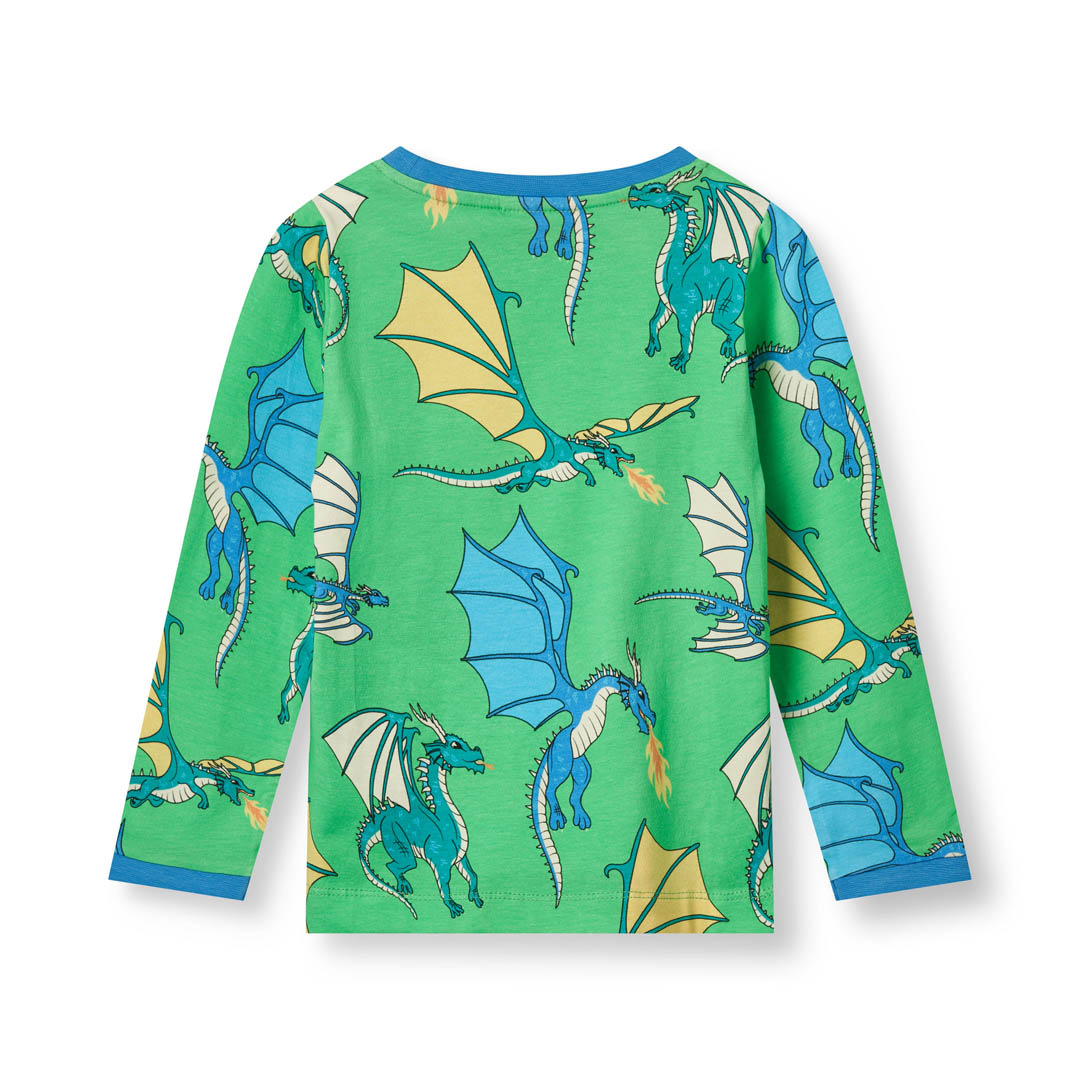 Long-sleeved blouse with flying dragons