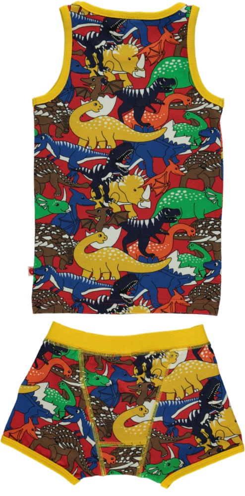 Dinosaur underwear set