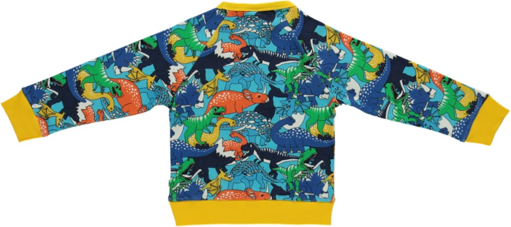 Dinosaur sweatshirt