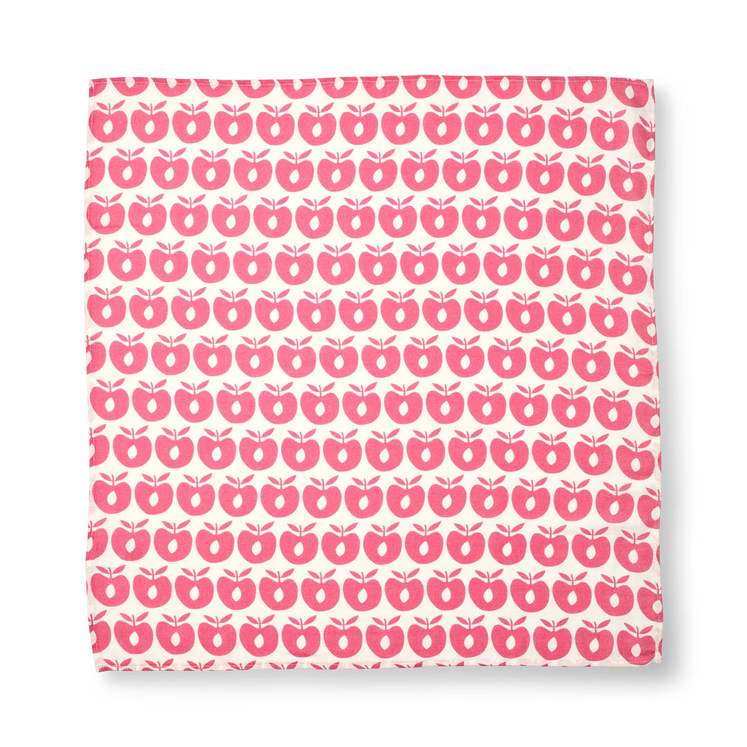 3 packs of apple print cloth diapers