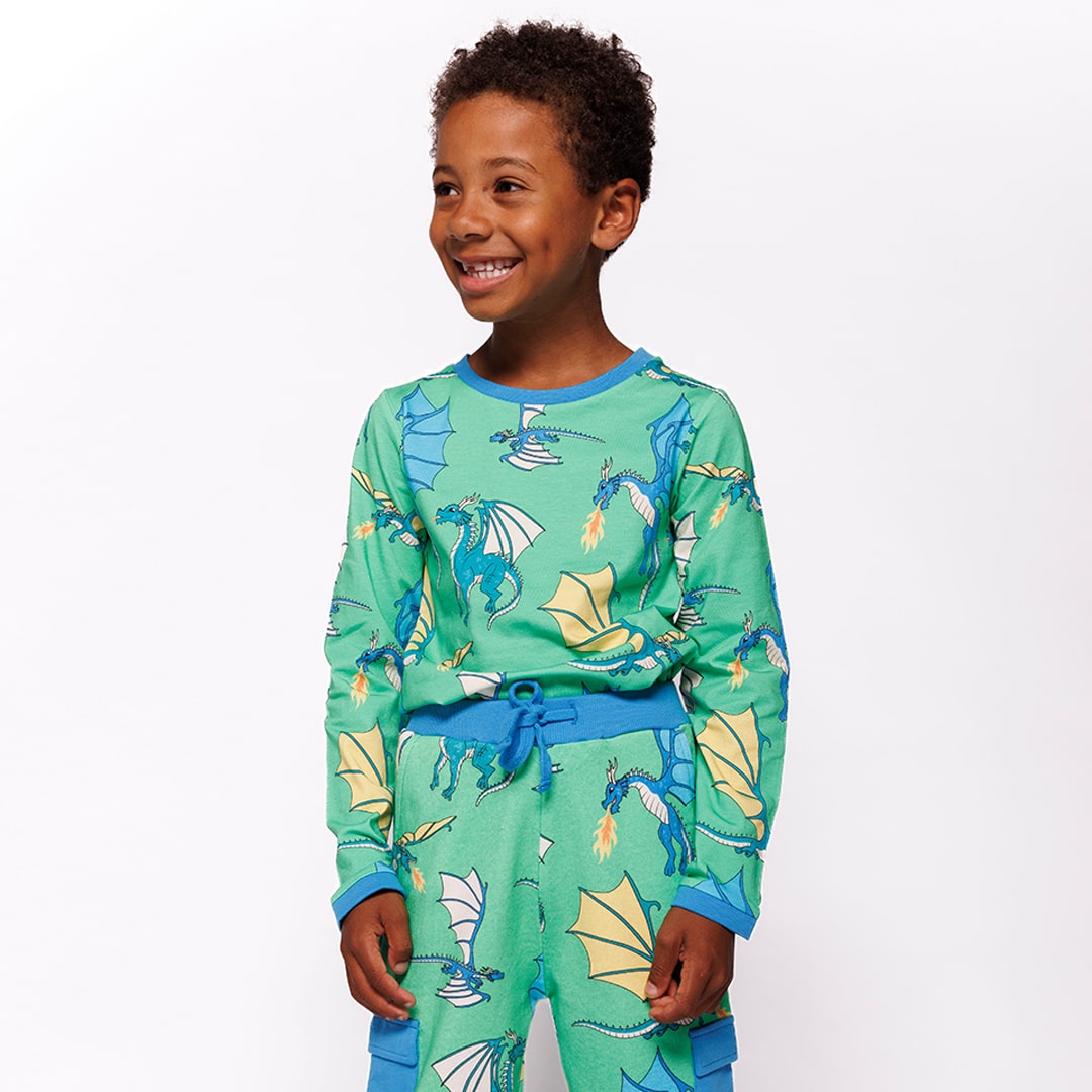 Long-sleeved blouse with flying dragons
