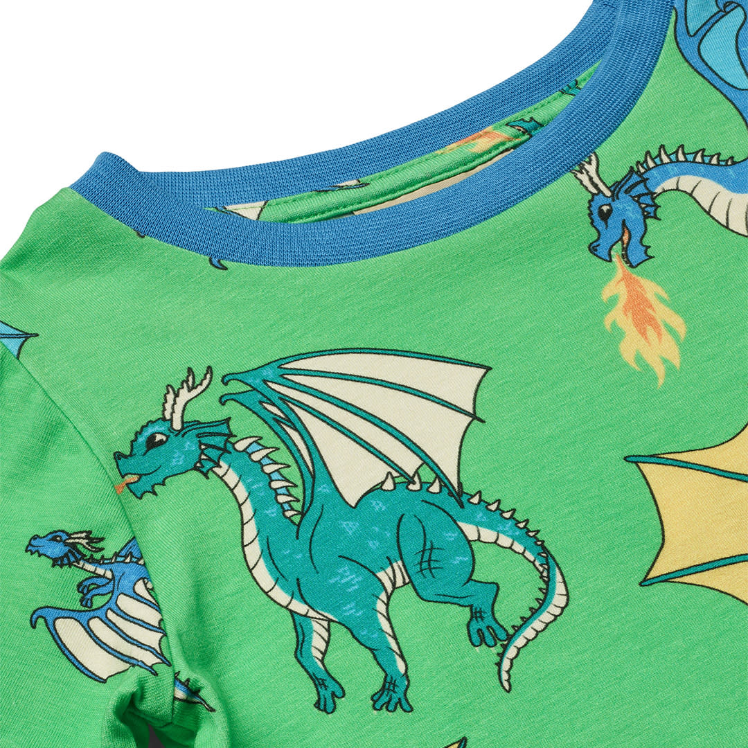 Long-sleeved blouse with flying dragons