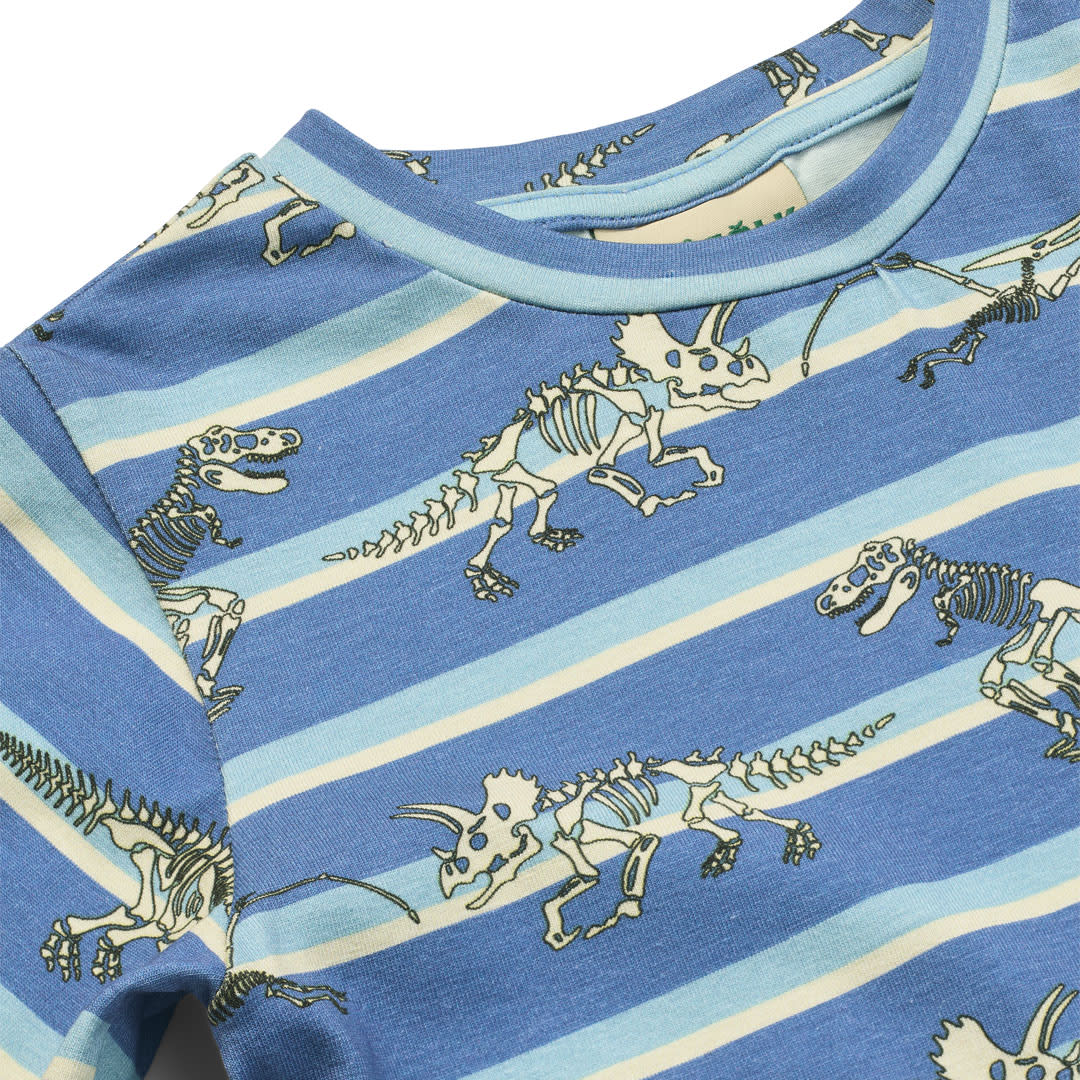 Gala t-shirt med dinosaurer og striber