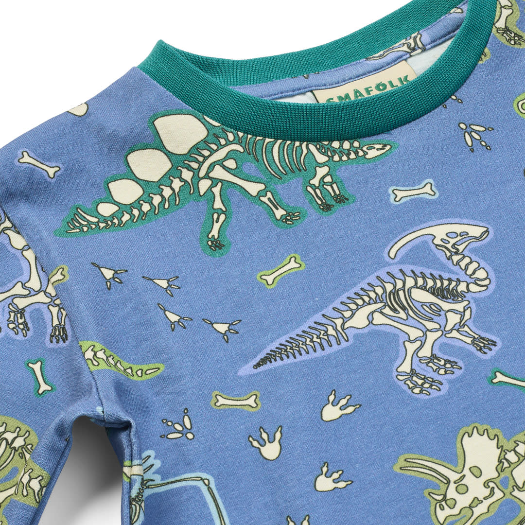 Jubilee dinosaur pyjamas