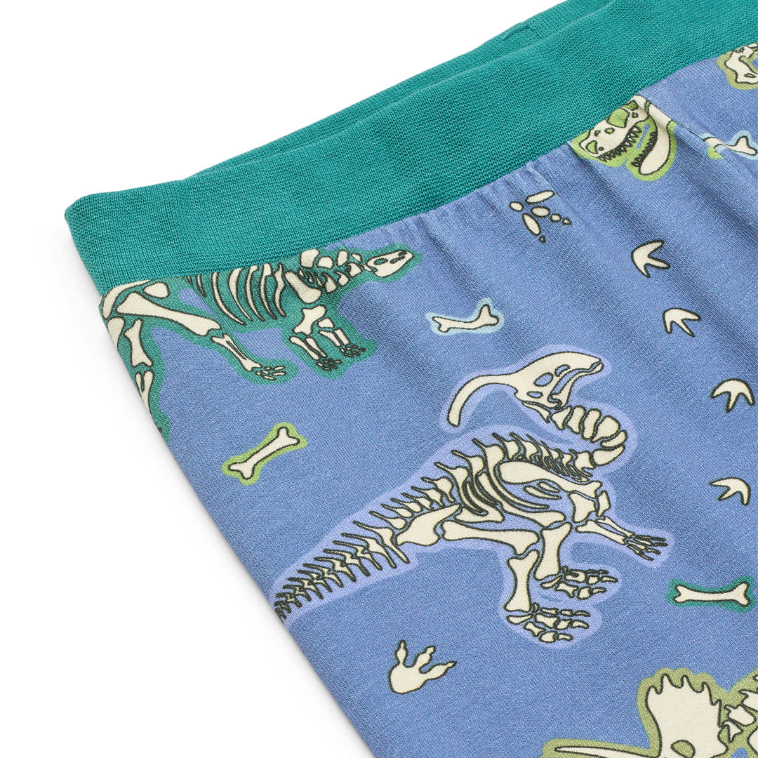 Jubilee dinosaur pyjamas