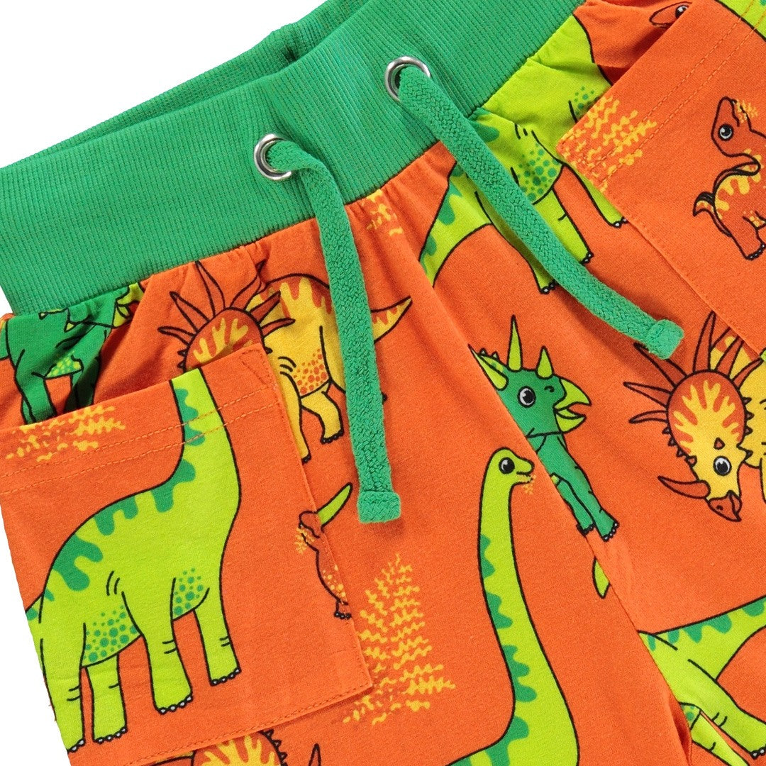 Dinosaur shorts