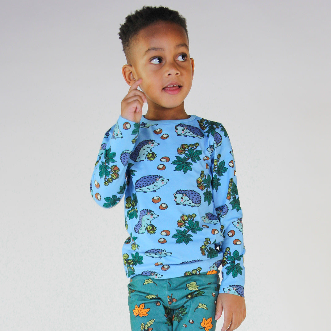 Long-sleeved hedgehog blouse