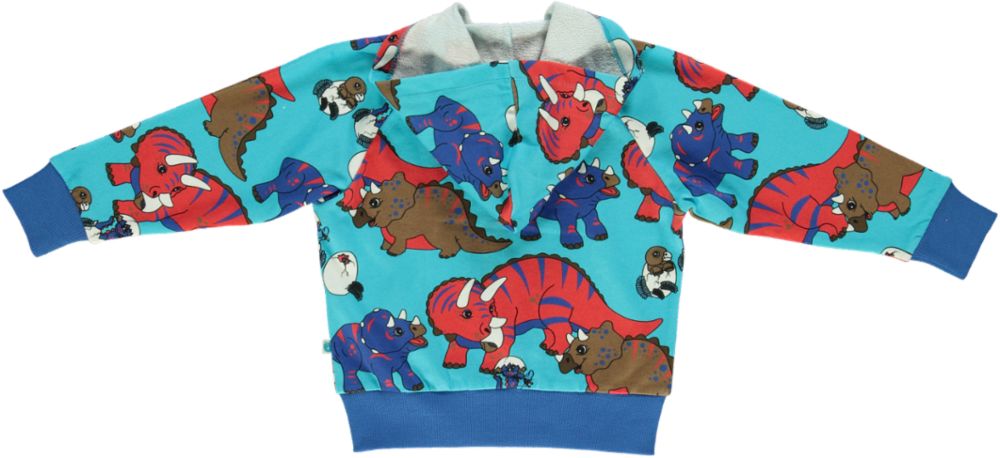 Sweatshirt, Zipper, and Hoodie, Dinosaur