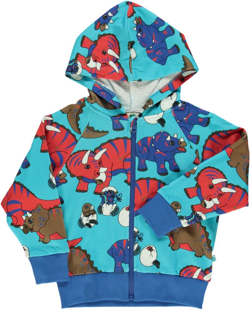 Sweatshirt, Zipper, and Hoodie, Dinosaur