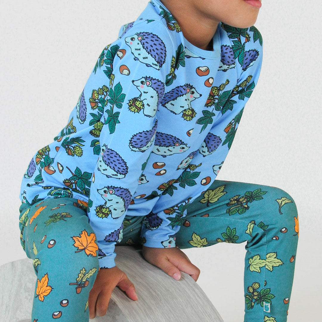 Long-sleeved hedgehog blouse